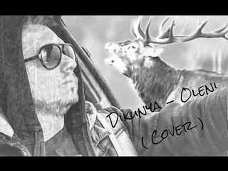 Dikunya - Олені ( Cover Тік )