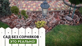 Мульча может спасти ваш сад от СОРНЯКОВ Секреты эффективного мульчирования в одном видео