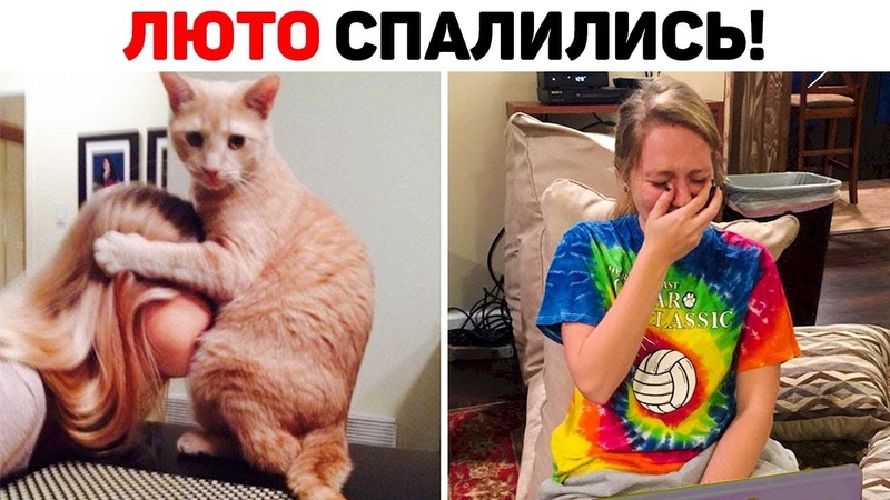 55 ЛЮТЫХ СЛУЧАЕВ, КОГДА ЗАСТУКАЛИ ЗА ОЧЕНЬ СТРАННЫМ
