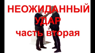 НЕОЖИДАННЫЙ УДАР (часть 2)