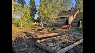 Дом в деревне.Сажаем клубнику.Где купилиСколько стоит