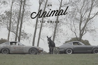 These Datsun 240Zs Are Animals to Drive