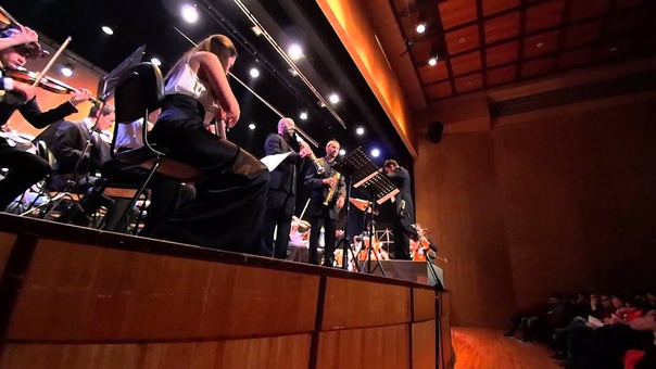 Vivaldi Concerto in Re Minore per 2 violini, archi e
