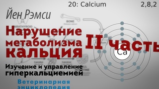 Нарушение метаболизма кальция. Изучение и управление гиперкальциемией