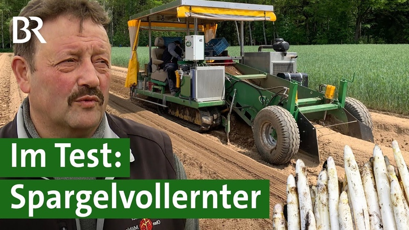 Statt Erntehelfern: Spargel ernten mit dem Vollernter, Landmaschinen, Unser Land,