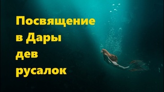 ПОСВЯЩЕНИЕ В ДАРЫ ДЕВ-РУСАЛОК. МОЛИТВА-ОБНУЛЕНИЕ СУДЕБ СЕМИ СЕВЕРНЫХ ДЕВ #НаянаБелосвет