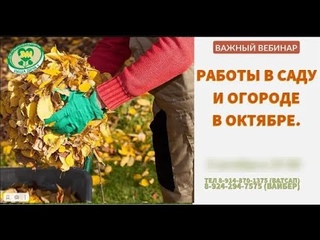 Календарные работы в октябре в саду и огороде  Ефимов Игорь  Фрагмент вебинара