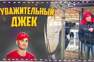 Неуважительный Джек