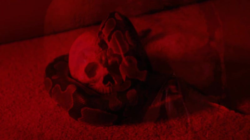 Bastøs Nudite Extrapole e ( Coslow