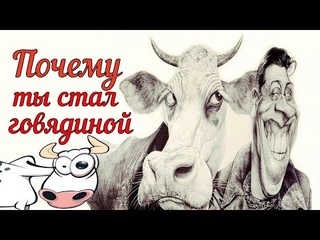 Почему мясо коровы это говядина. Что не так с коровой