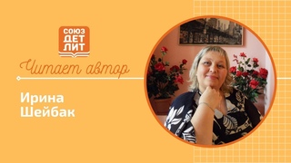 Ирина Шейбак#союздетлит#souzdetlit#читаетавтор#ИринаШейбак#детскиеписатели