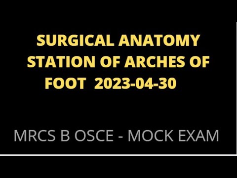 SURGICAL ANATOMY STATION OF ARCHES OF