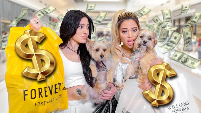 We Bought Everything our Dogs