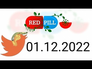 Red Pill News | Wiadomoci W Czerwonej Piguce