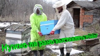 Профессор Кашковский: Нужно ли пчёл рано выставлять