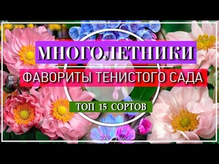 15 ЦВЕТУЩИХ МНОГОЛЕТНИКОВ Для ТЕНИ  / ФАВОРИТЫ ТЕНИСТОГО САДА