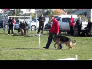 21 YUGO vom Osterberger Land
