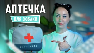 Аптечка для собак: обязательный минимум, первая помощь