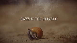 DrumCam. Eka sounds, Ken Komolov on drums. My one & only Love.  Amazing jazz ballad in jungle.