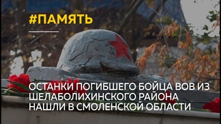Останки погибшего бойца ВОВ из Шелаболихинского района нашли в Смоленской области