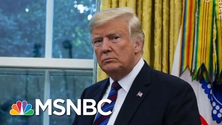 Former Top DHS Official Says Trump Is Dangerous For America | Deadline | MSNBC