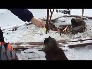 Зимний Таганай)
