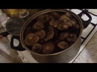 #Как солить грузди