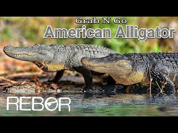 2023 Rebor Grab N Go American Alligator Review Both versions