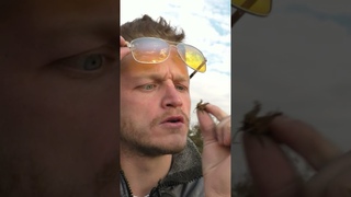 Petard in a cigarette. What the Fuck WTF! #shorts