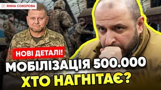 ЩОЙНО!РЕАКЦІЯ ЗАЛУЖНОГО і мобілізація: хто бреше про ФЕОДОСІЯ: что с ліцомЯніна зна!