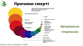Як мати здорові та чисті судини. Як вірно знизити тиск! Алгоритм