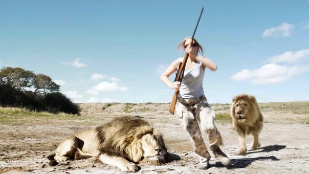 Lion Takes Revenge On Trophy