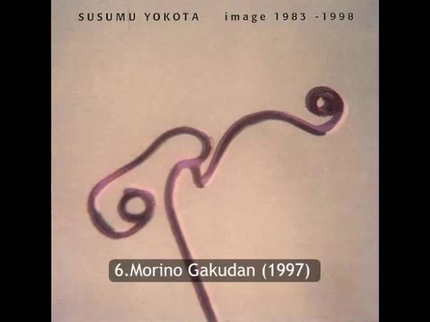 Susumu Yokota Image full
