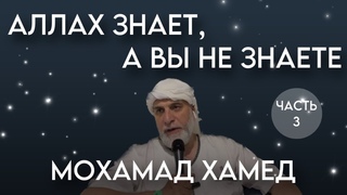 Мохамед Хамед - Аллах знает, а вы не знаете. Часть 3