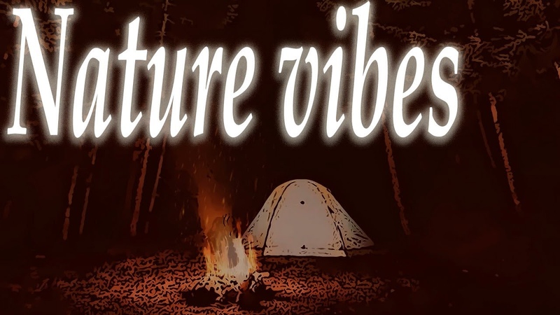 Nature vibes, Forest and fire, Lofi