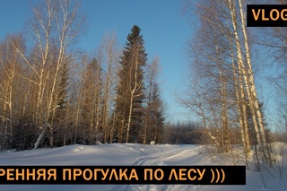 [VLOG_ЛТ]: короткое видео с прогулки по лесу с Наной)