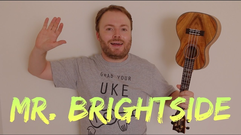 MR BRIGHTSIDE THE KILLERS ( EASY UKULELE TUTORIAL