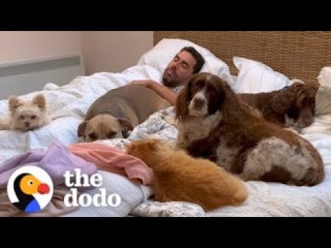 Guy Sleeps In Bed Full Of Rescue Animals, The