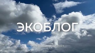 Экоблог. Почему в Перми не может быть ягод из заповедника Басеги?