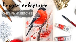 Рисуем акварелью снегиря на веточке. Урок доступен бесплатно по 28 декабря