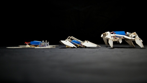Scientists Engineer Origami Inspired