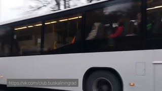 На линию вышел ещё один б/у Volvo 8700. Он работает на маршруте №1Светлогорск - Отрадное