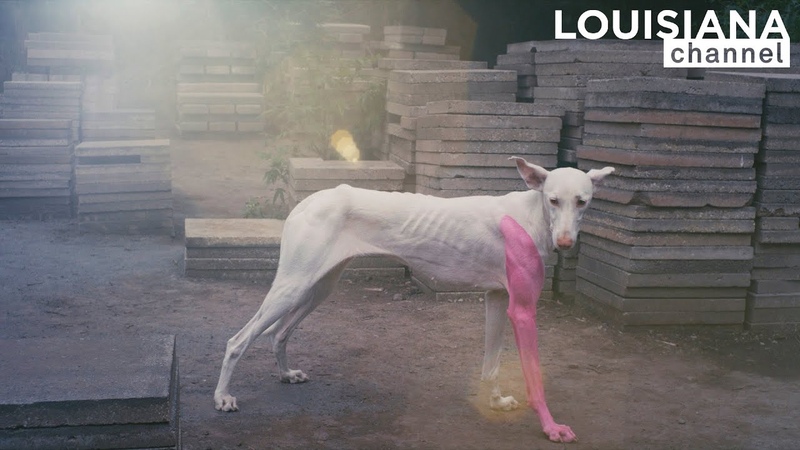 Artist Pierre Huyghe: Im not interested in , Louisiana