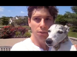 Cute Whippet Dog Story: Man's Best Friend