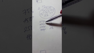 Как заработать в Гринвей? Варианты дохода
