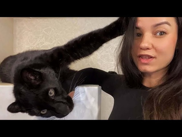 ( Eng Subs) The home life of Luna the