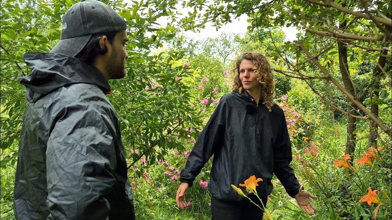Balade en forêt avec Claire Mauquié le Jardin