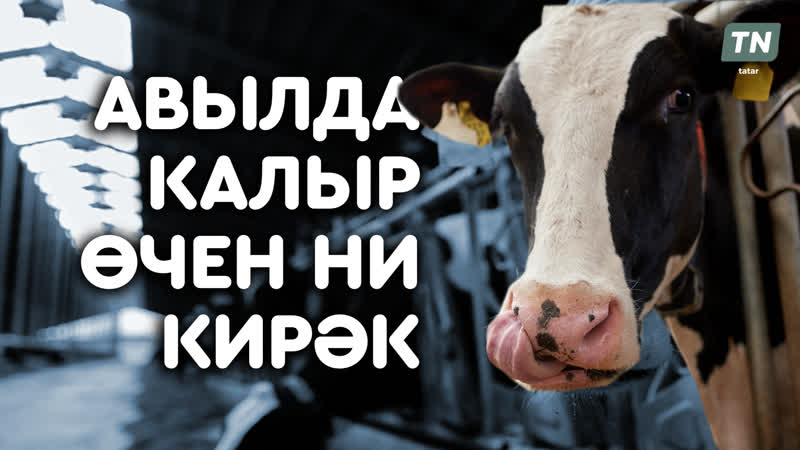 АВЫЛДА КАЛЫР ӨЧЕН НИ