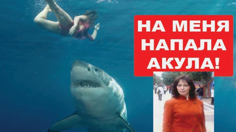 На меня напала акула Как это