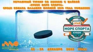 2014 г.р. | ЖХК Торпедо - Красные Крылья  | 22 Декабря 2023 г. 13:00 |